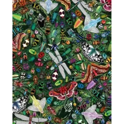 Le Dossier D'Art : Merveilles Ailées