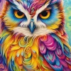 Le Hibou Perroquet