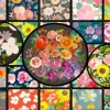 Le Jardin de Fleurs de Lacy