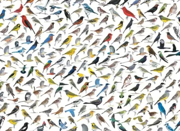Le Monde des Oiseaux