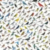 Le Monde des Oiseaux, par David Sibley
