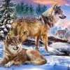 Le Pays Merveilleux des Loups