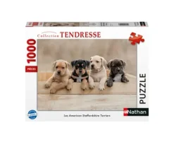 Les American Staffordshire Terriers