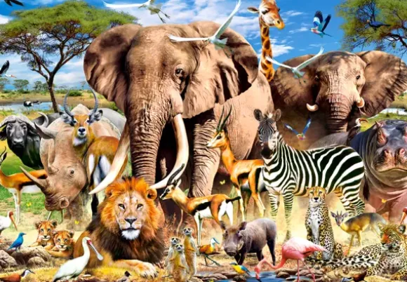 Les Animaux de la Savanne