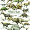 Les Dinosaures - Période du Crétacé