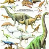 Les Dinosaures - Période du Jurassique