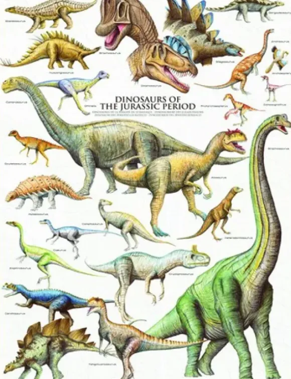 Les Dinosaures - Période du Jurassique