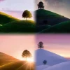 Les saisons