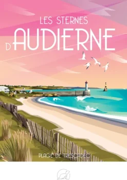 Les sternes d'AUDIERNE Plage de trescadec