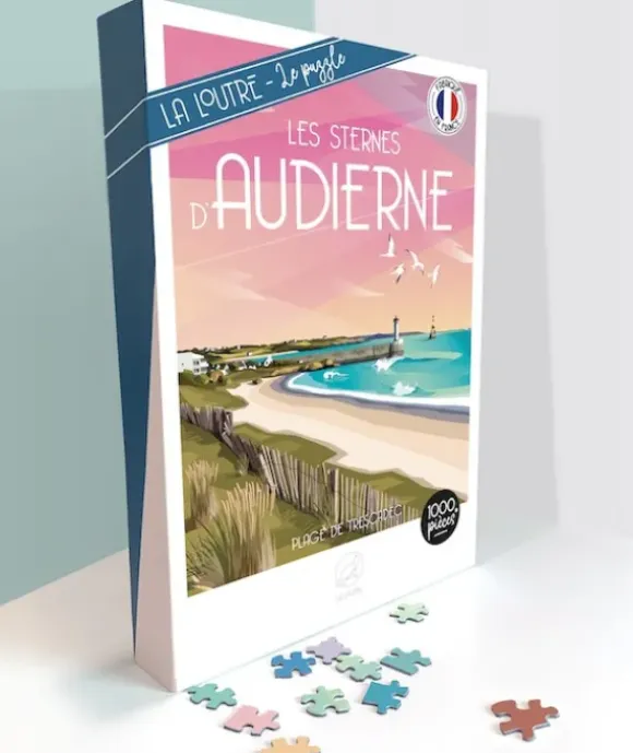 Les sternes d'AUDIERNE Plage de trescadec