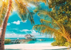 Levente Bodo - Plage Paradisiaque