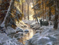 L'Heure de l'Hibernation