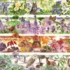 L'Heure Du Thé : Quatre Saisons