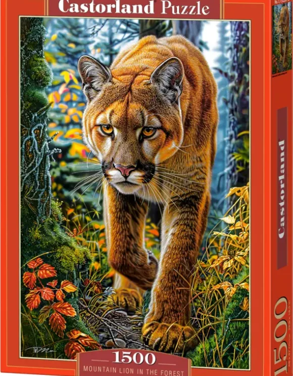 Lion des Montagnes dans la Forêt