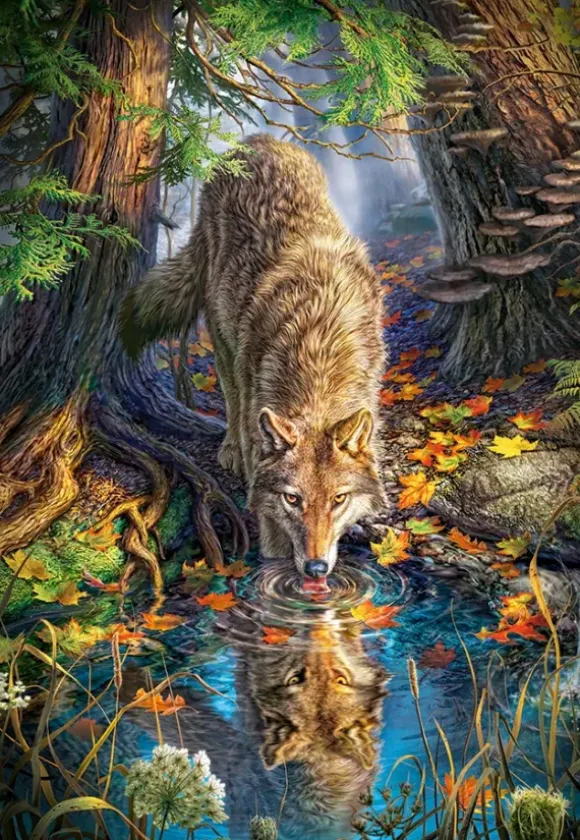 Loup dans la Forêt