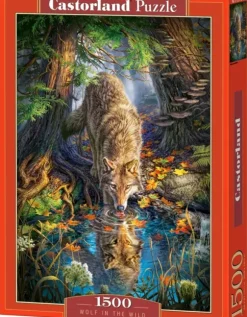 Loup dans la Forêt