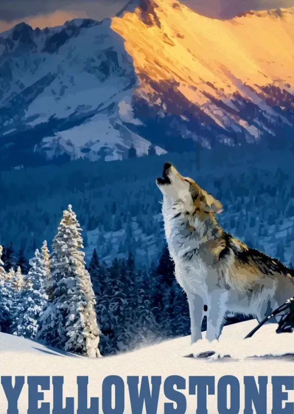 Loup de Yellowstone
