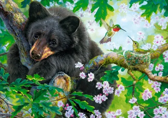L'Ours et les Colibris