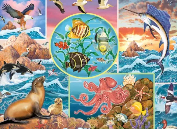 Magie des Océans