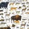 Mammals of Yellowstone National Park