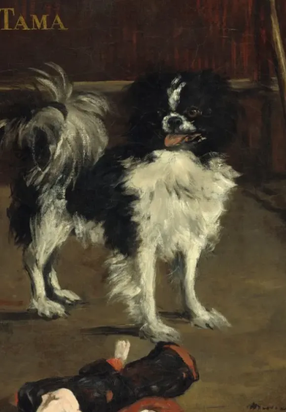 Manet Édouard - Edouard Manet : Tama : Le Chien Japonais, 1875