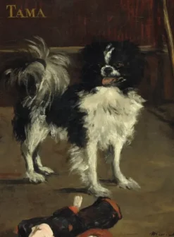 Manet Édouard - Edouard Manet : Tama : Le Chien Japonais, 1875