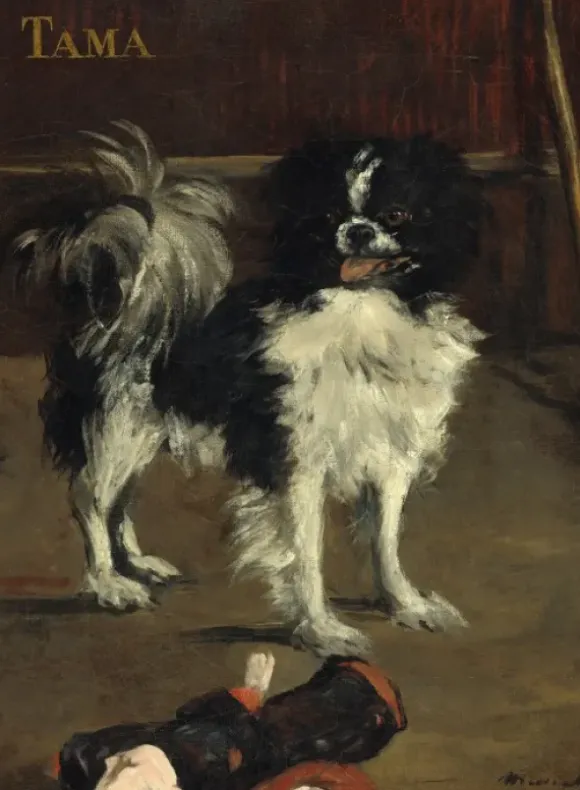 Manet Édouard - Edouard Manet : Tama : Le Chien Japonais, 1875
