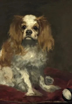 Manet Édouard - Edouard Manet : Un Cavalier King Charles Spaniel, 1866