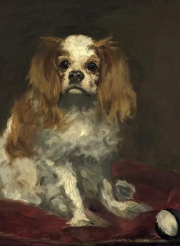Manet Édouard - Edouard Manet : Un Cavalier King Charles Spaniel, 1866