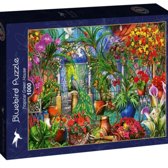 Marchetti Ciro - Tropical Green House