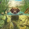Mark Fredrickson - Labrador Chocolat à la Baignade