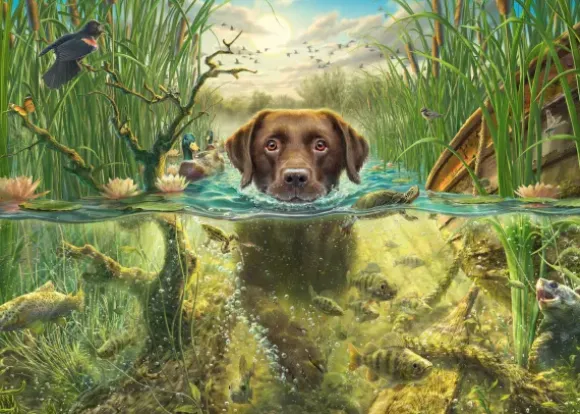 Mark Fredrickson - Labrador Chocolat à la Baignade