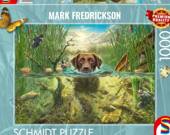 Mark Fredrickson - Labrador Chocolat à la Baignade