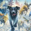 Mark Fredrickson - Labrador Noir dans la Neige