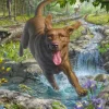 Mark Fredrickson - Retriever au Printemps