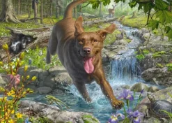 Mark Fredrickson - Retriever au Printemps