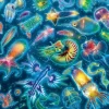 Méduses colorées