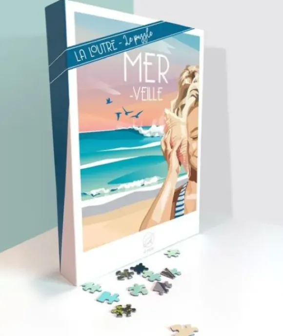 MER-Veille