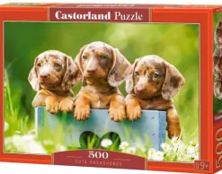Mignons Chiots