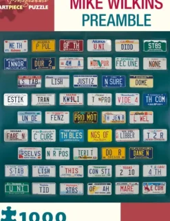 Mike Wilkins - Preamble