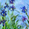 Monet Claude - Claude Monet : Iris (détail)