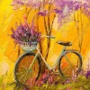 Mon Vélo