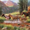 Mountain Thunder
