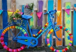 My Beautiful Colorful Bike