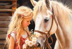 My Friend Horse