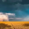 Nature Edition - Météo Arc-en-ciel Mystique