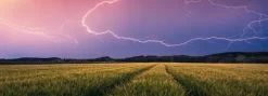 Nature Edition - Orage d'été