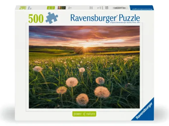 Nature Edition - Pissenlits au Coucher du Soleil