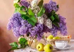 Nature Morte Lilas