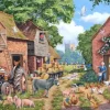 N°24 - Focus Sur La Ferme